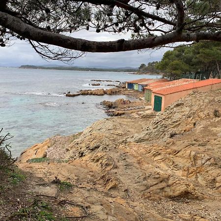 T2 climatisé à l'Ile d'Or avec piscine près de la plage La Londe-les-Maures Extérieur photo